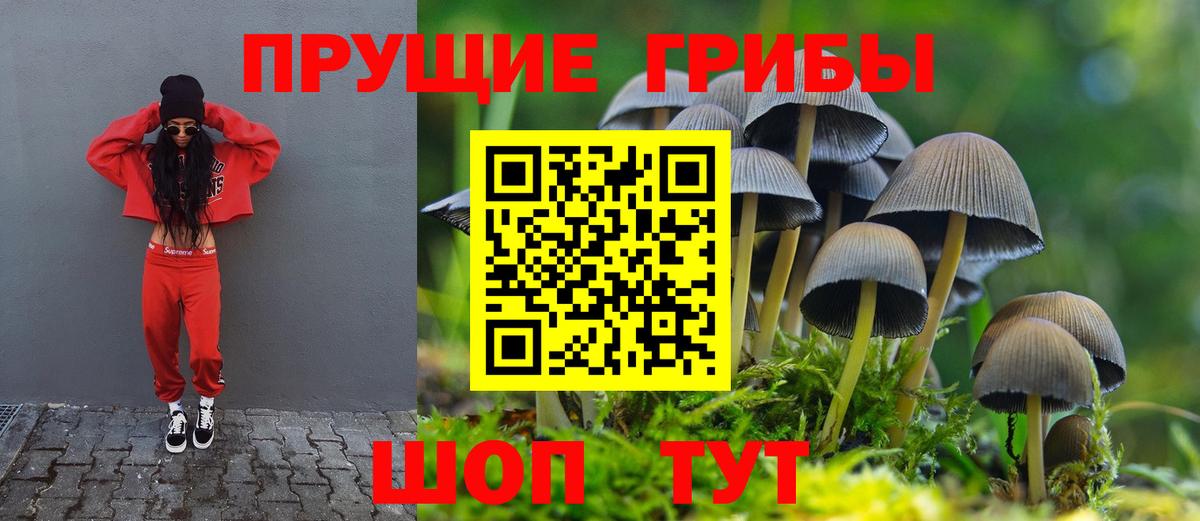 Сочи  Галлюциногенные грибы мицелий  Вход с VPN 